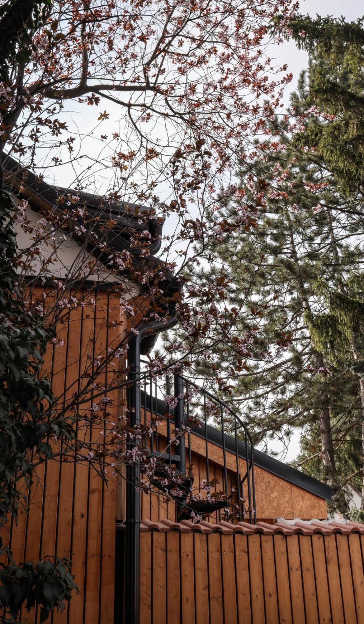 Golden Golem Hotel & Spa Prague Ngoại thất bức ảnh